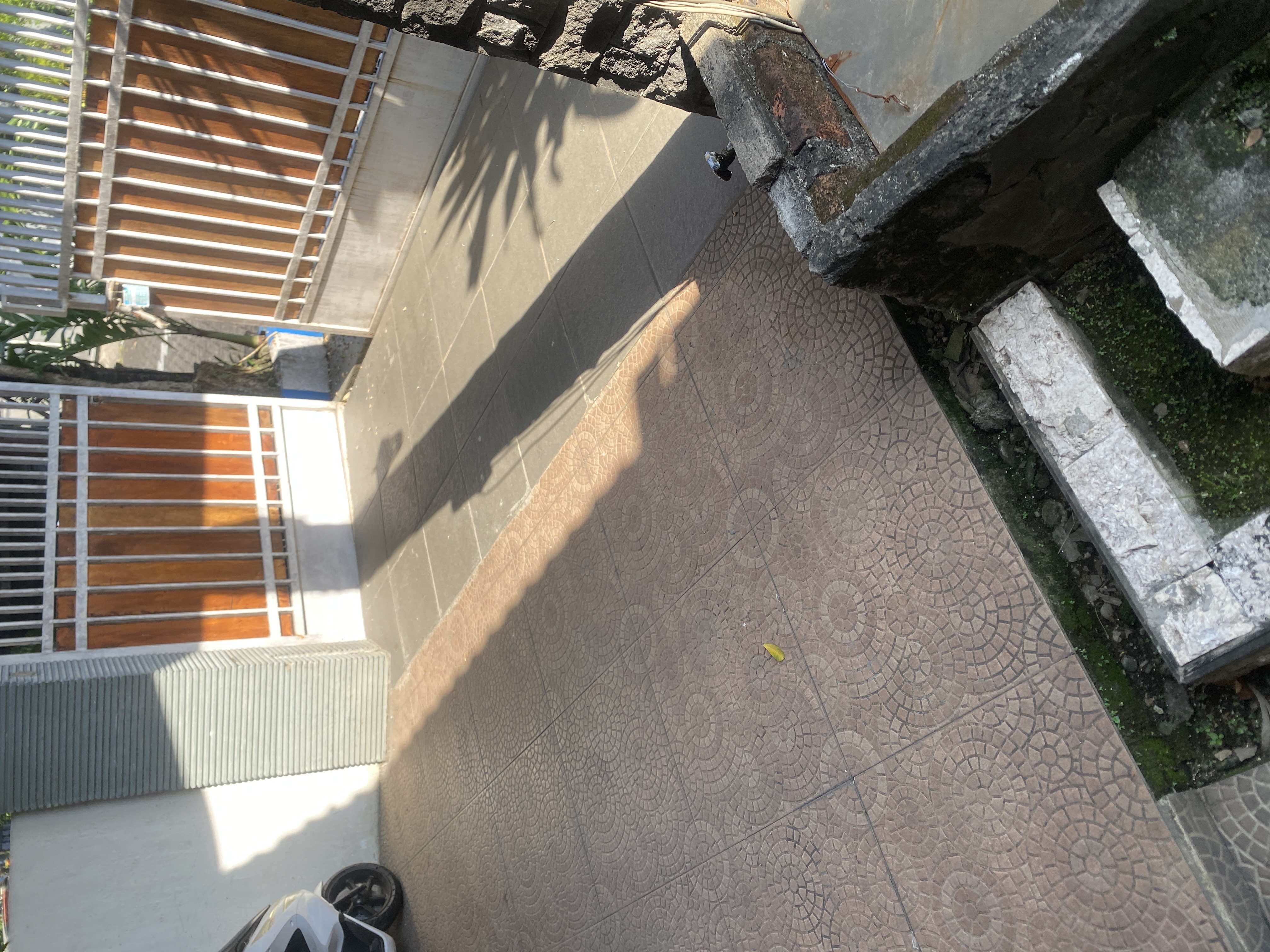eF7eZg6PBso1-image.jpg