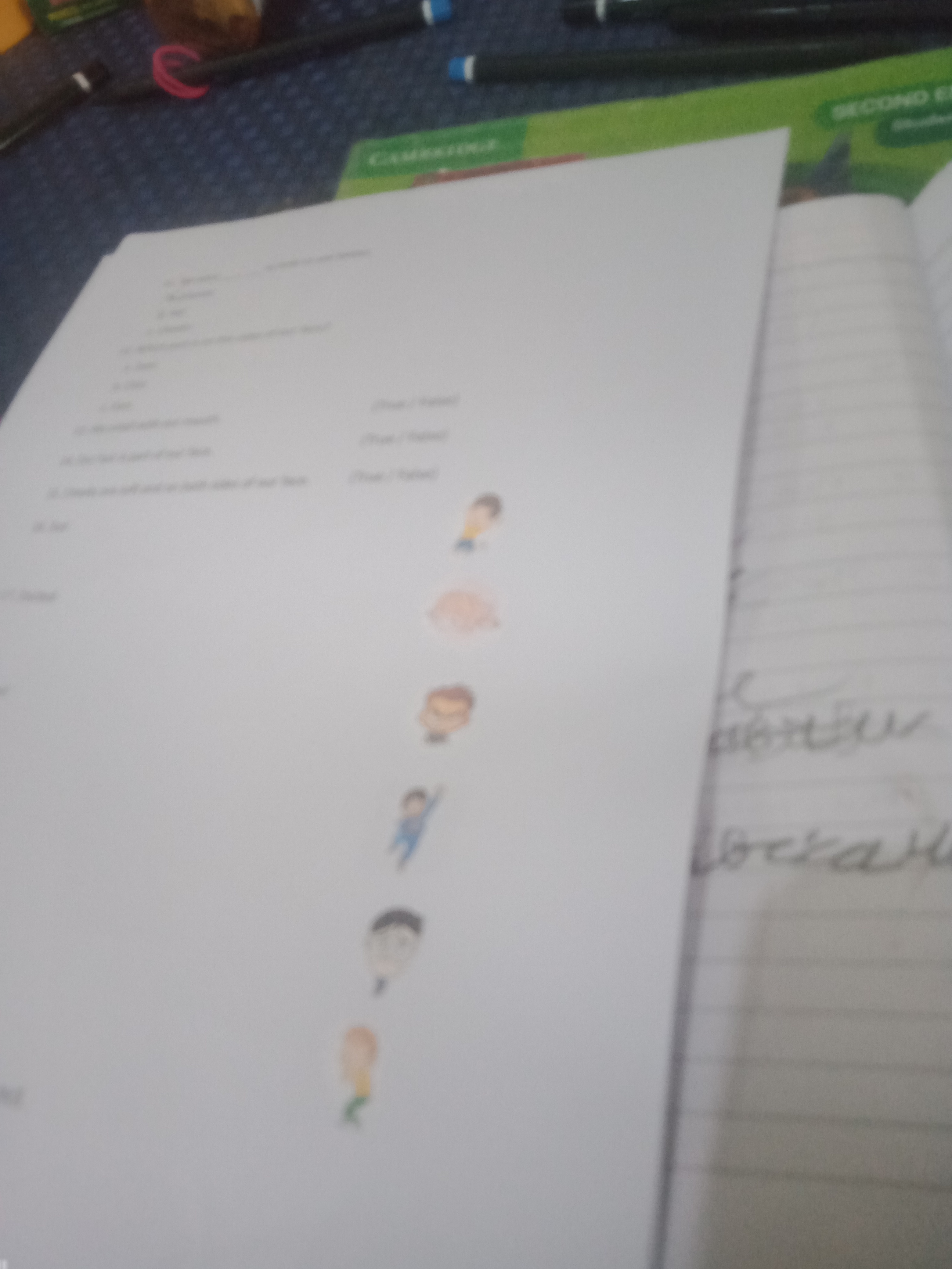 xMgojF8nlqBY-IMG20250312150628.jpg
